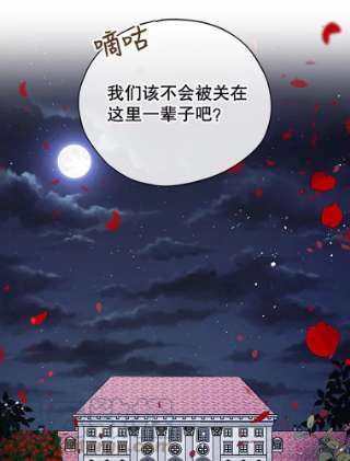 不可接近的女士8.初次重生