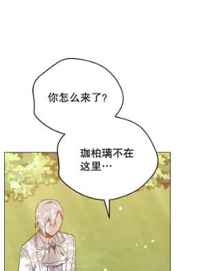 不可接近的女士8.初次重生