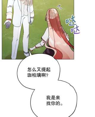 不可接近的女士8.初次重生