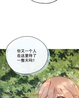不可接近的女士8.初次重生
