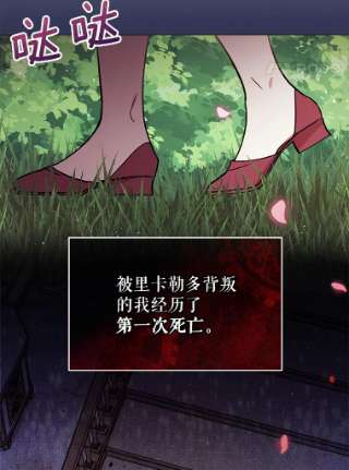不可接近的女士8.初次重生