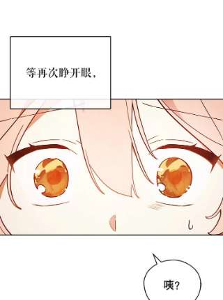 不可接近的女士8.初次重生