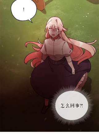 不可接近的女士8.初次重生