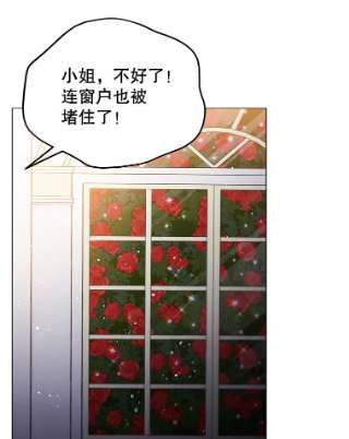 不可接近的女士9.监禁