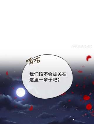 不可接近的女士9.监禁