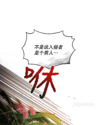 不可接近的女士10.救人