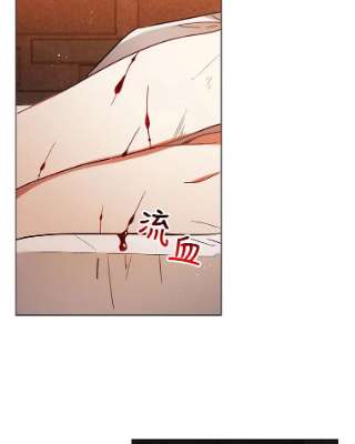 不可接近的女士10.救人