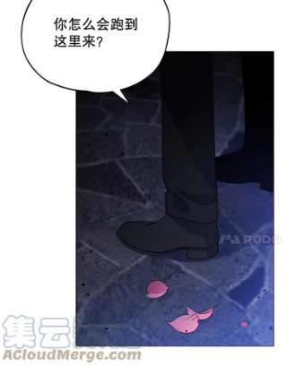 不可接近的女士11.取消婚约