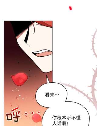 不可接近的女士13.首领烙印
