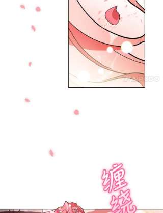不可接近的女士13.首领烙印