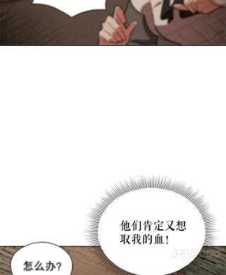不可接近的女士15.玛格的苏醒