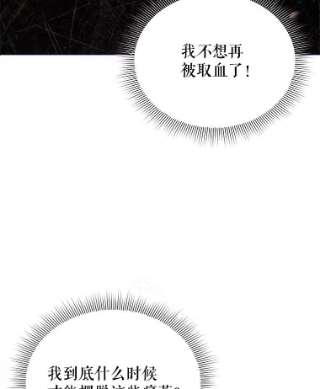 不可接近的女士15.玛格的苏醒