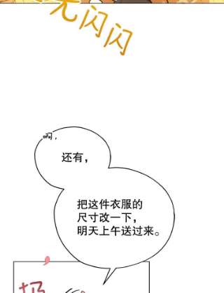 不可接近的女士17.四季森林