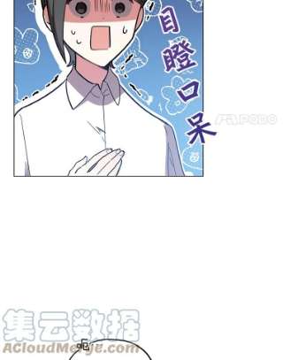 不可接近的女士17.四季森林