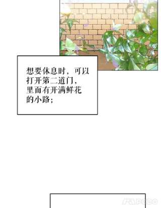 不可接近的女士17.四季森林
