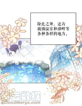 不可接近的女士17.四季森林