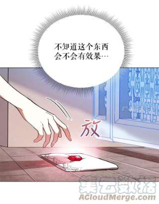 不可接近的女士17.四季森林
