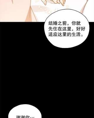 不可接近的女士18.温柔的假象