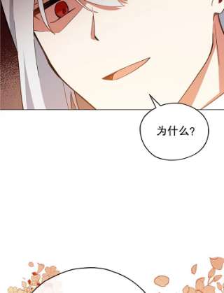 不可接近的女士18.温柔的假象