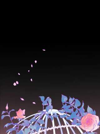 不可接近的女士19.笼中鸟