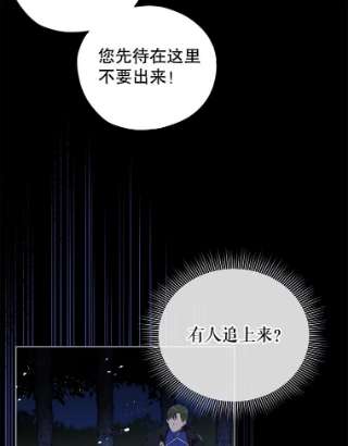 不可接近的女士19.笼中鸟
