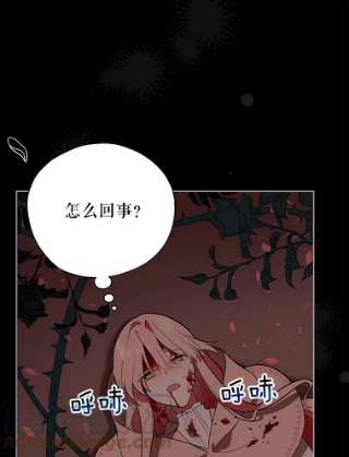 不可接近的女士19.笼中鸟