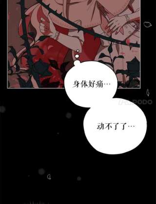不可接近的女士19.笼中鸟