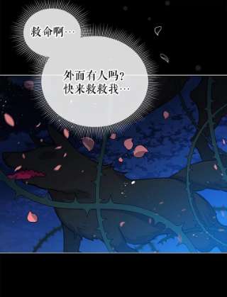 不可接近的女士19.笼中鸟
