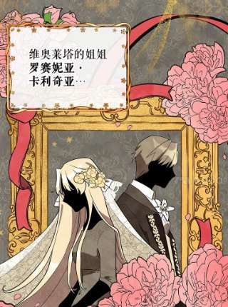 不可接近的女士20.突然来访