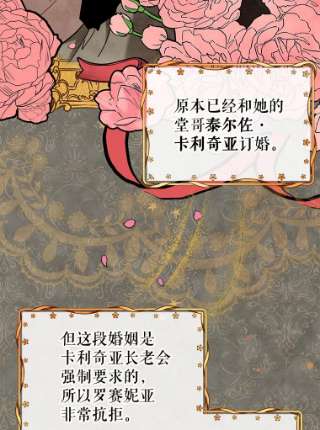 不可接近的女士20.突然来访
