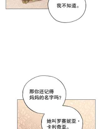 不可接近的女士20.突然来访