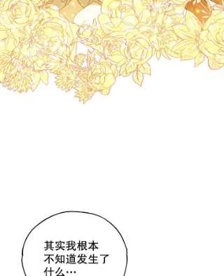 不可接近的女士20.突然来访