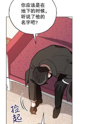 不可接近的女士20.突然来访