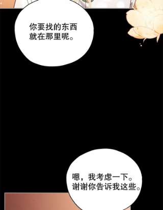 不可接近的女士23.翻阅