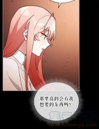 不可接近的女士23.翻阅