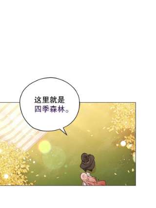 不可接近的女士23.翻阅