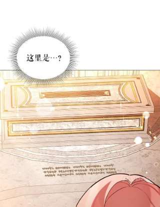 不可接近的女士23.翻阅