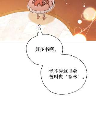 不可接近的女士23.翻阅