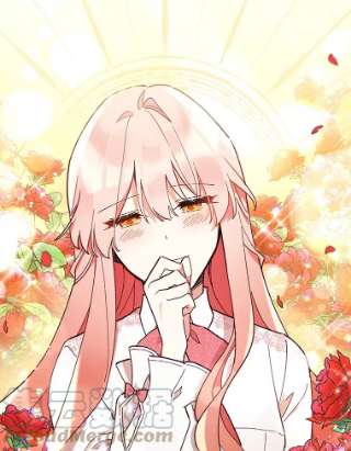 不可接近的女士24.尝试