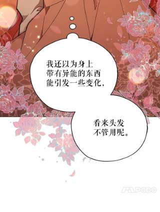 不可接近的女士24.尝试