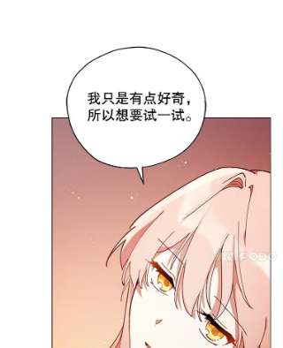 不可接近的女士24.尝试