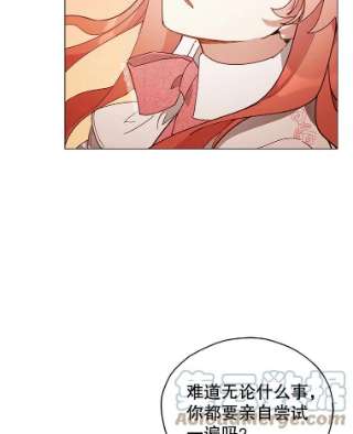 不可接近的女士24.尝试