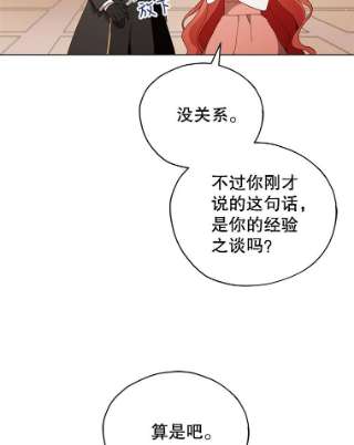 不可接近的女士24.尝试