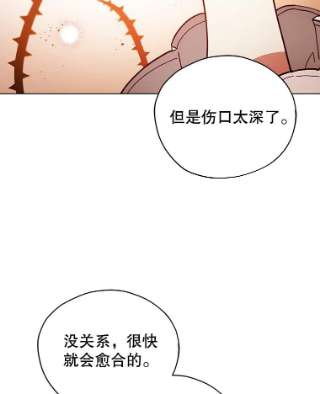 不可接近的女士24.尝试