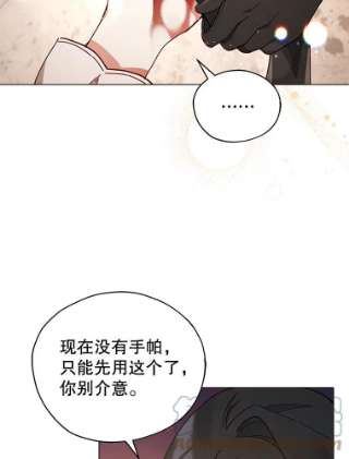 不可接近的女士24.尝试