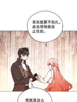 不可接近的女士24.尝试