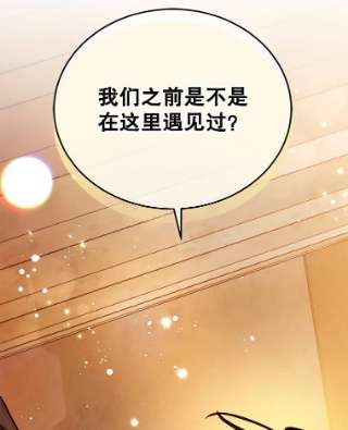 不可接近的女士24.尝试