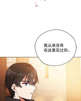 不可接近的女士24.尝试