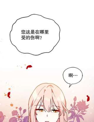 不可接近的女士25.教训