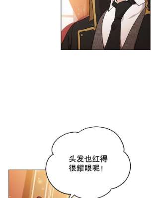 不可接近的女士27.殷勤